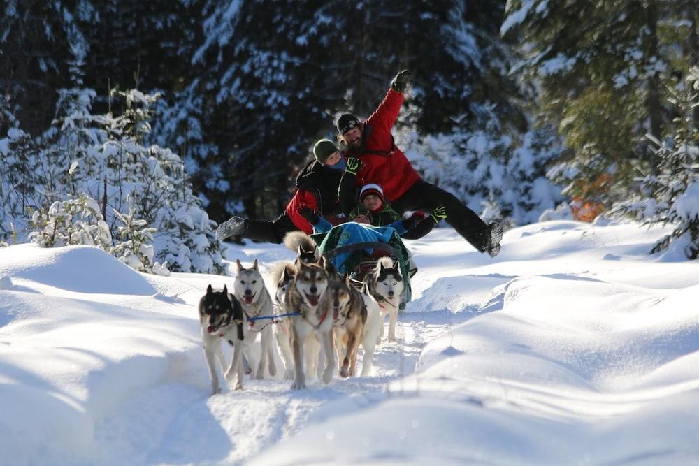 Hotel Vacances Tremblant มงต์-ทร็องบล็องต์ ภายนอก รูปภาพ
