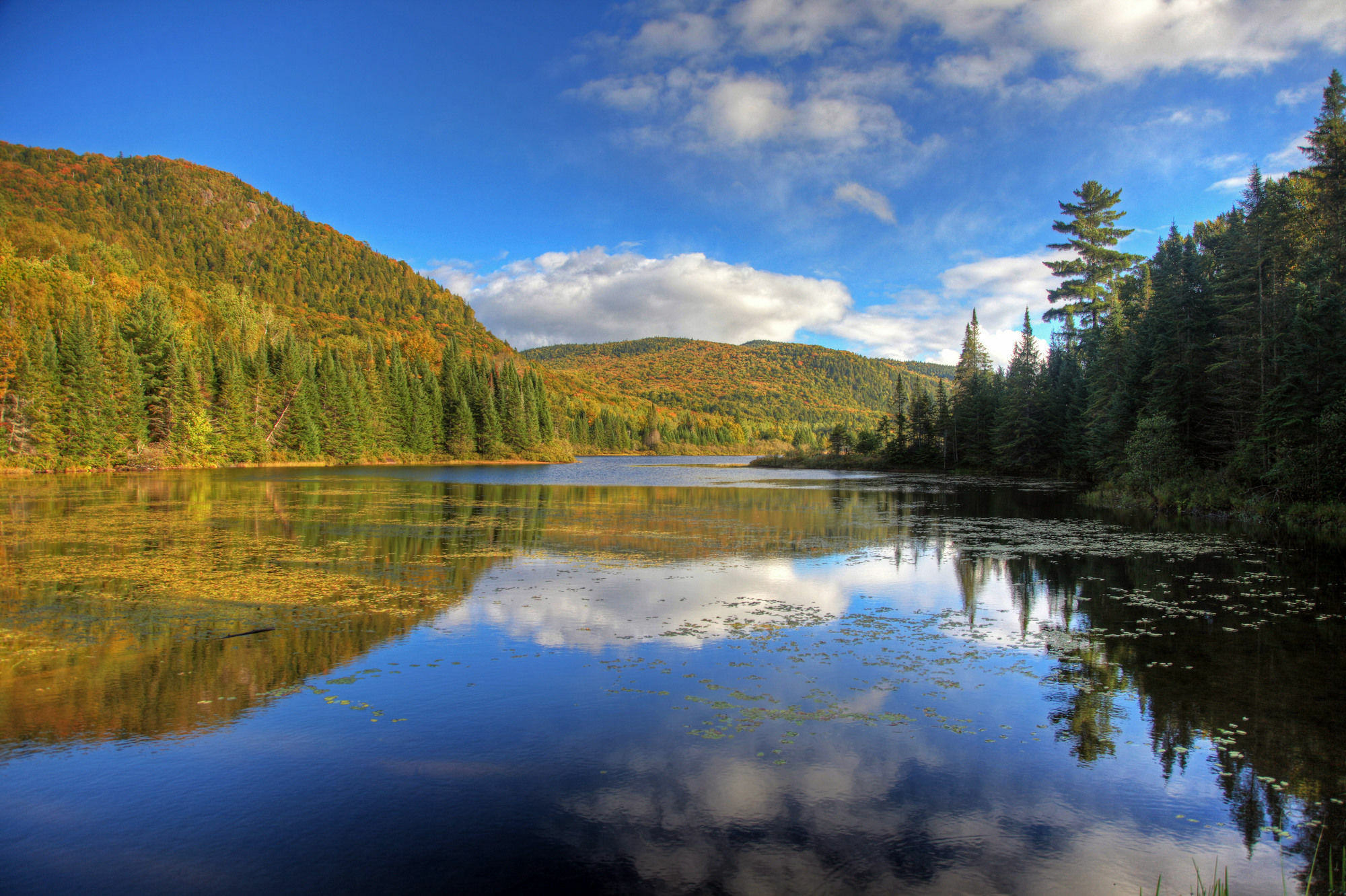 Hotel Vacances Tremblant มงต์-ทร็องบล็องต์ ภายนอก รูปภาพ